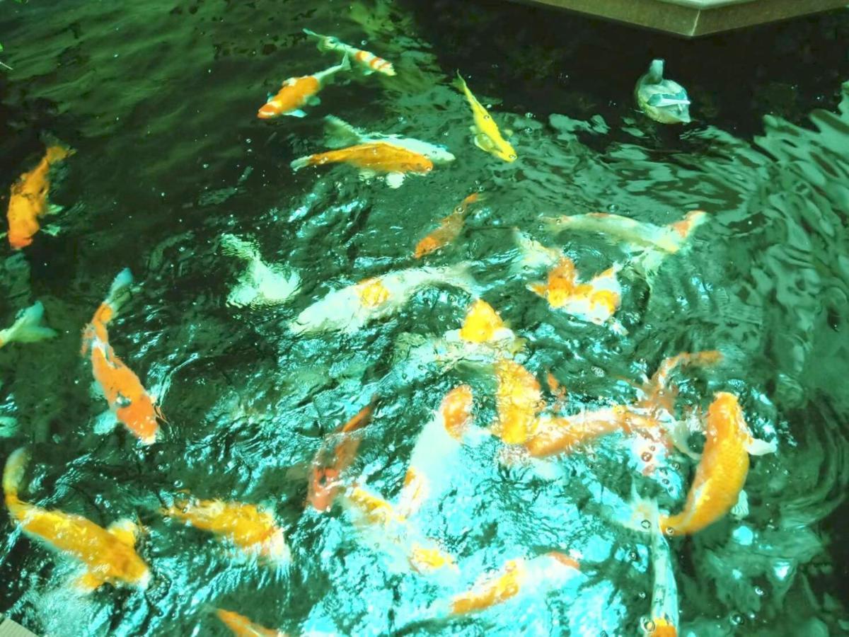 Zhou 3* Phuket